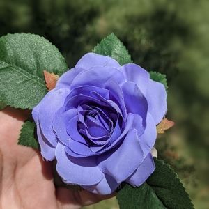 Violet flower clip